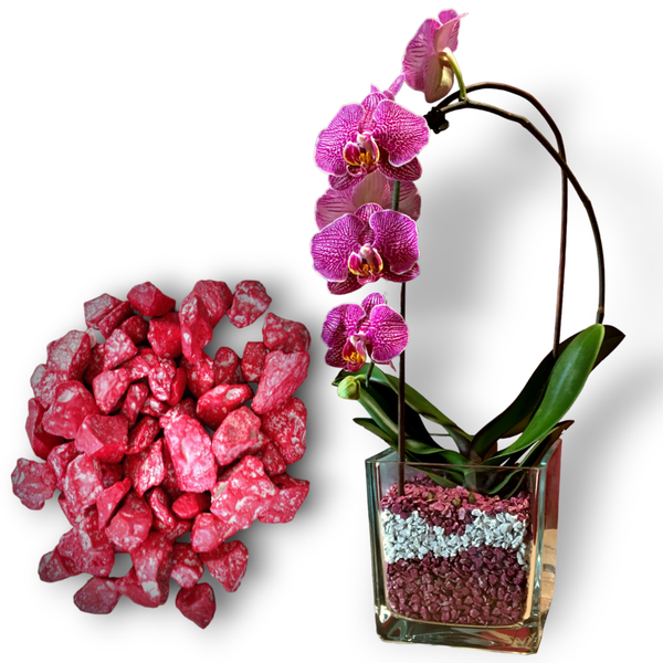 Colomi Orchideen Spezial-Substrat rot 4-8mm, 1 Liter
