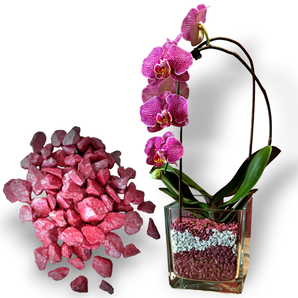 Colomi Orchideen Spezial-Substrat brombeer 4-8mm, 1 Liter