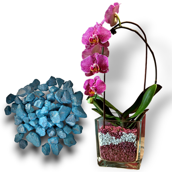 Colomi Orchideen Spezial-Substrat blau 4-8mm, 1 Liter
