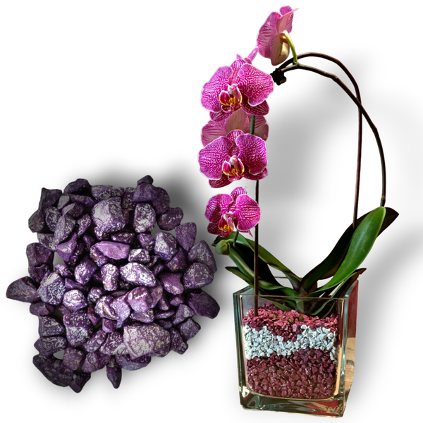 Colomi Orchideen Spezial-Substrat flieder 4-8mm, 1 Liter