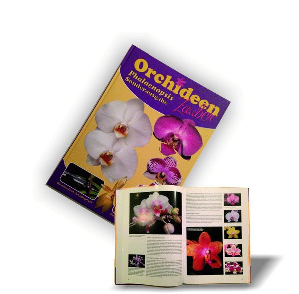 Buch - Orchideen Zauber, Orchideen richtig pflegen, 88 Seiten A4 Format