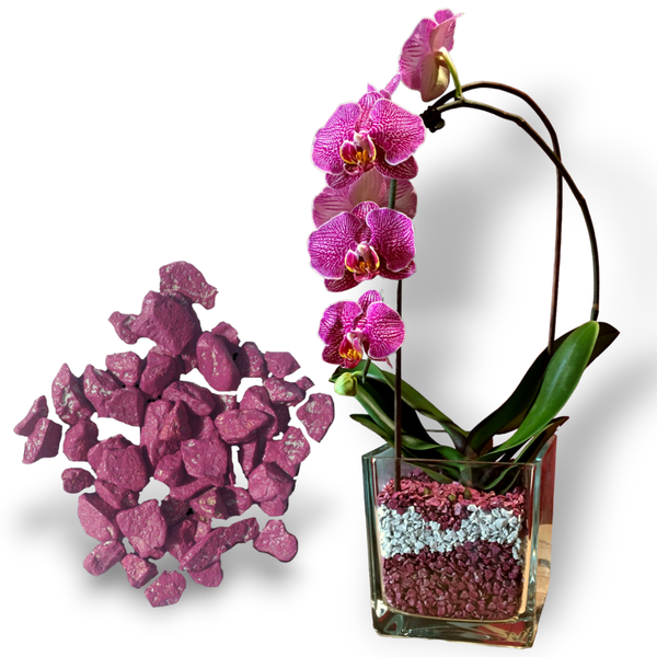 Colomi Orchideen Spezial-Substrat fuchsia 4-8mm, 1 Liter
