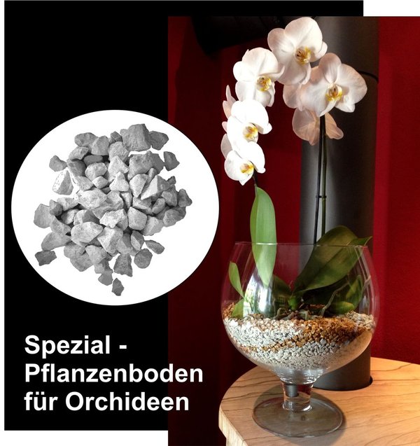 Colomi Orchideengranulat Spezial-Substrat weiss 4-8mm, 5 L Großpack