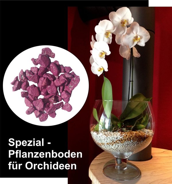 Colomi Orchideengranulat Spezial-Substrat fuchsia 4-8mm, 5 L Großpack