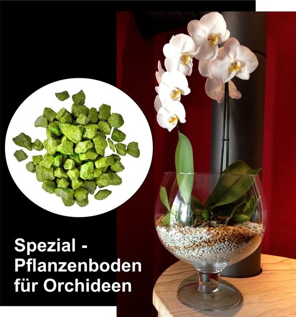 Colomi Orchideengranulat Spezial-Substrat grün 4-8mm, 5 L Großpack