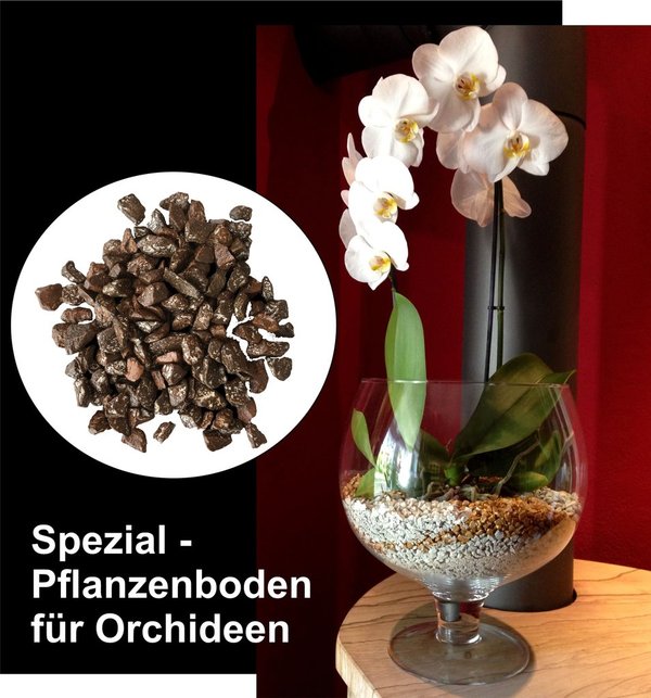 Colomi Orchideengranulat Spezial-Substrat erdbraun 4-8mm, 5 L Großpack
