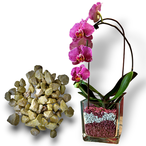 Colomi Orchideen Spezial-Substrat jade 4-8mm, 1 Liter