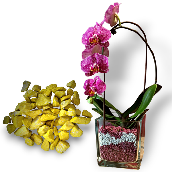 Colomi Orchideen Spezial-Substrat gelb 4-8mm, 1 Liter